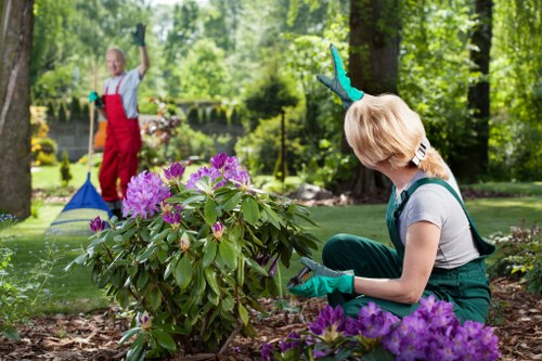 Professionals clearing garden debris in Thornton Heath