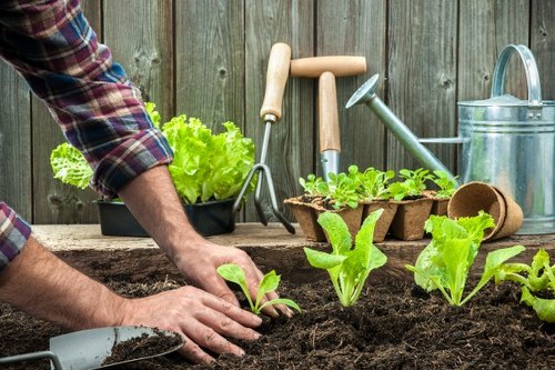 Gardener planning site safety for garden maintenance