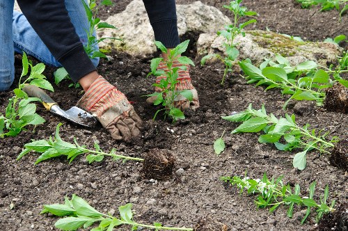 Compost and reclaimed planters being prepared for donation