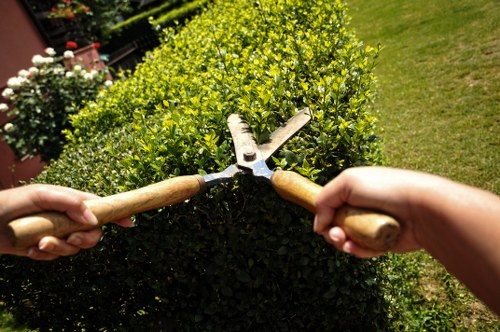 Staff wearing PPE during a lawn and hedge maintenance job